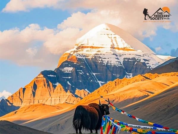 Kailash Manasarovar Tour (Drive In-Drive Out)
